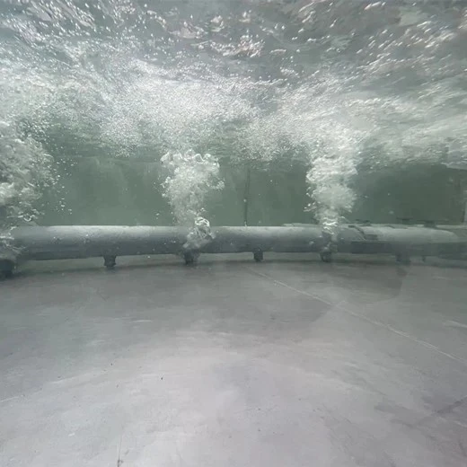 Dissolved Oxygen in Fish Farming Systems Dissolved Oxygen in Fish Farming Systems